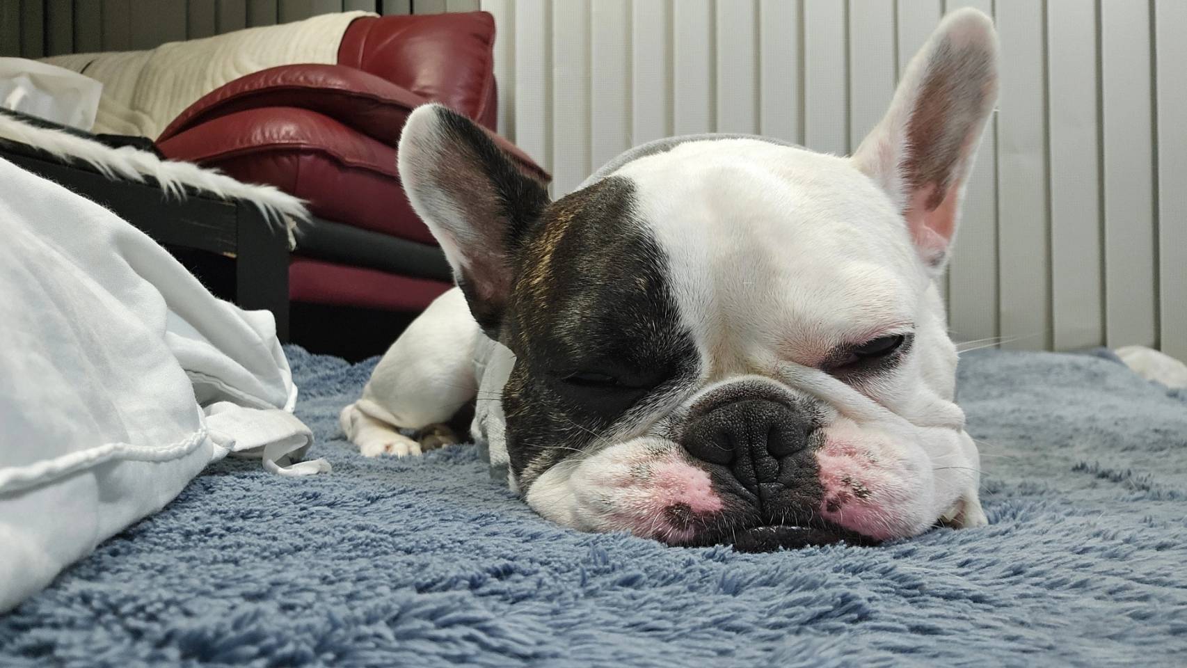 藍川（あいかわ）